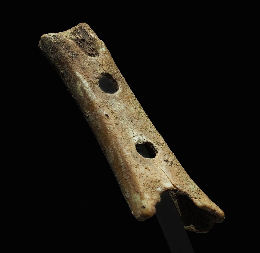 The Divje Babe flute — a Neanderthal bone flute